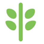 cropped-cropped-logo_web.png
